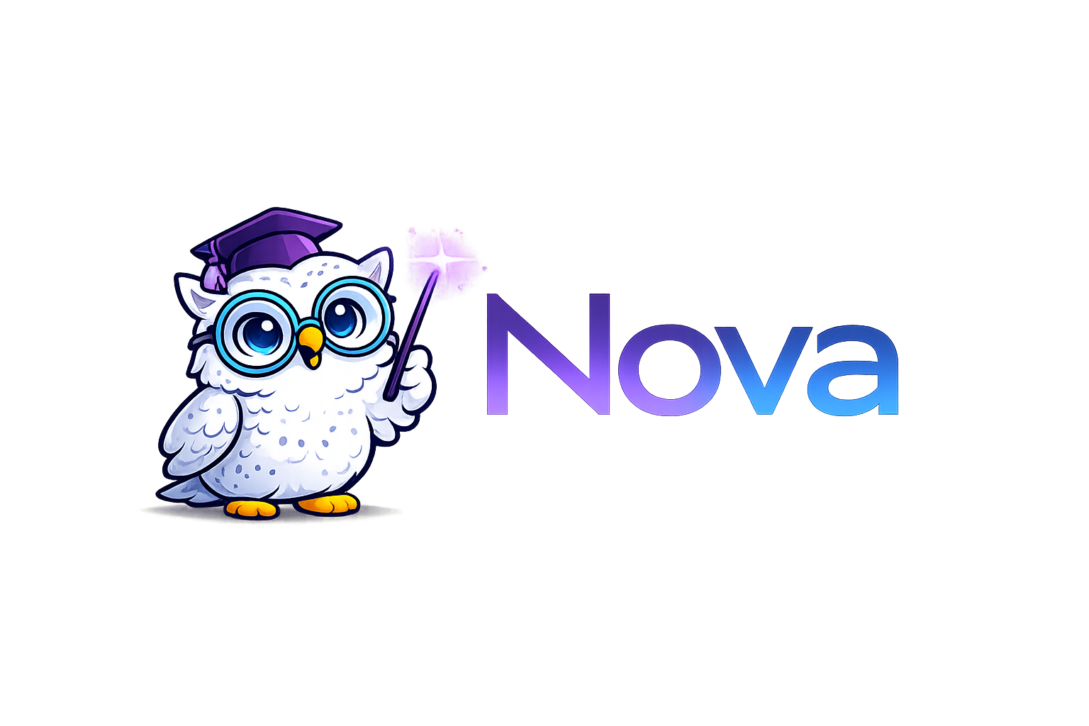 Nova Scholar Owl logo